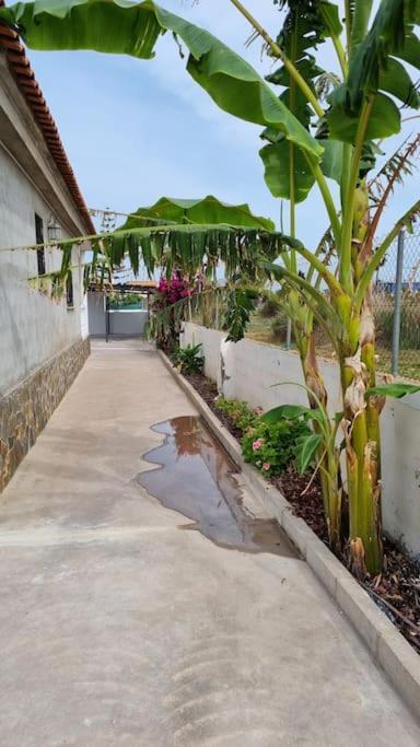 Villa Maruna Grao de Castellon Eksteriør bilde
